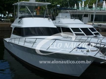 Charter Mares 45
