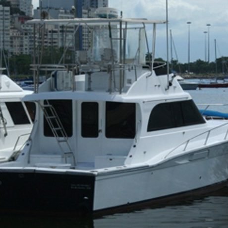 Charter Mares 45