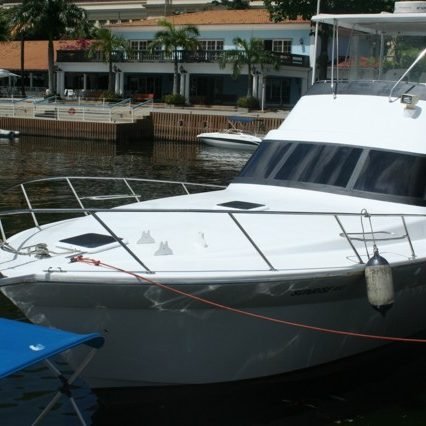 Charter Mares 45