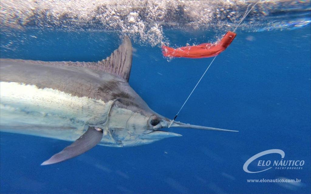 d027939d-b344-4ac9-8ad5-1873793e9b45